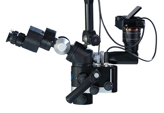 Optik