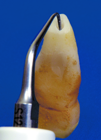 Nr. S12-70D