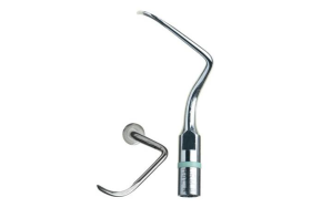 Periodontija