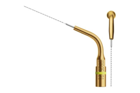 Endodontija